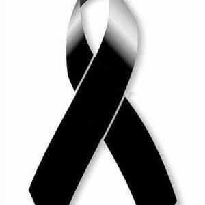 Meet your Posher, Johnny